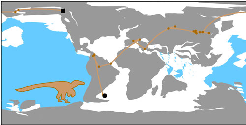 Plotting the path of Dromaeosaurus albertensis .