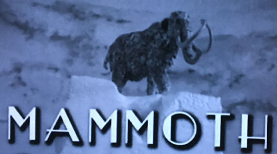 Woolly Mammoth figure seen on televison.