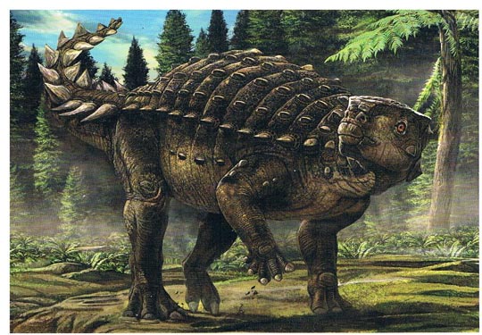Basal Ankylosaur illustration.