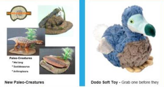 Paleo-Creatures and a Dodo soft toy.