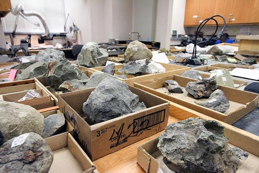 Fossils from the Calaveras Reservoir.