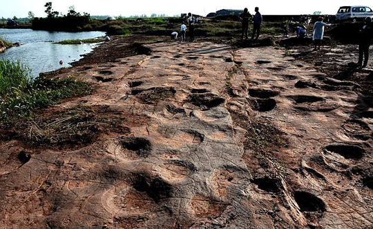 Dinosaur tracks and prints fossil site (China).