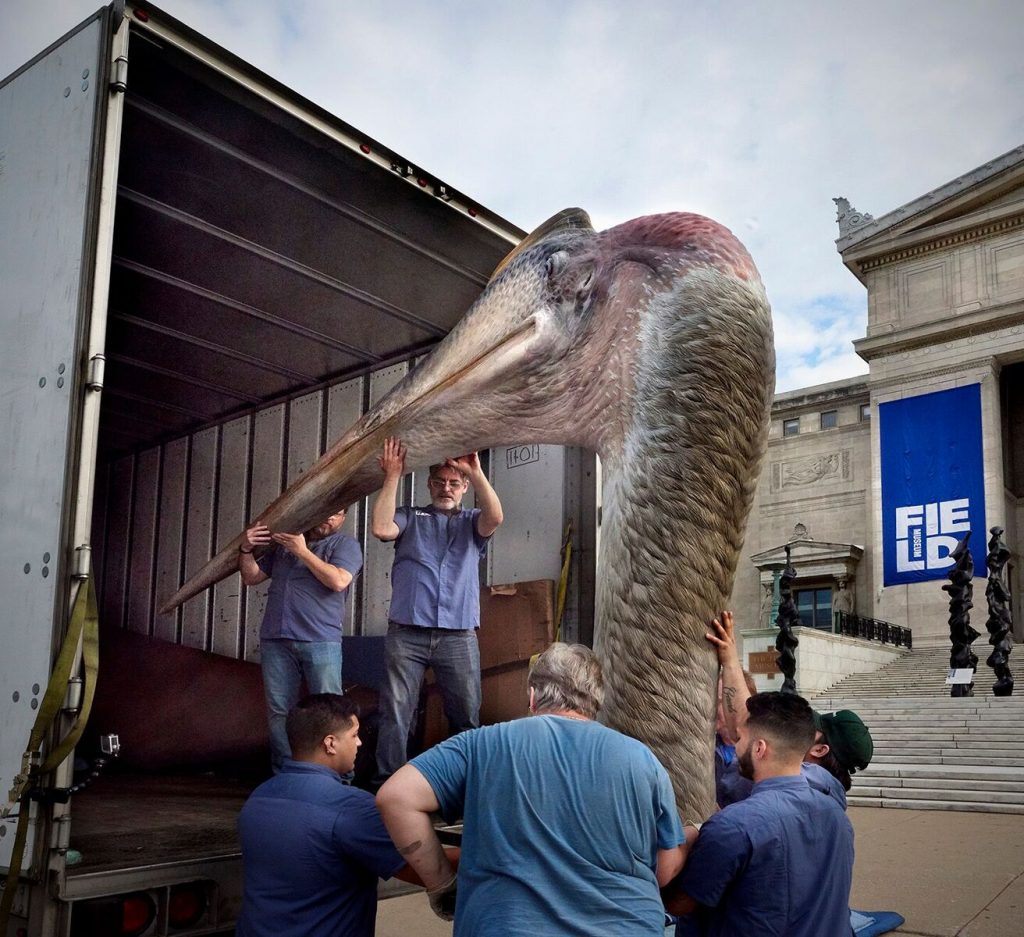 Quetzalcoatulus head being unloaded.