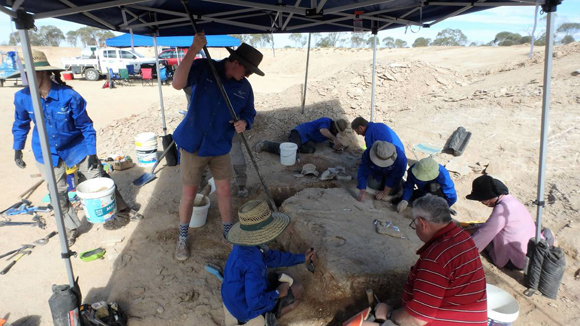 A newly discovered Ichthyosaur specimen is excavated
