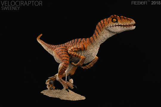 The stripey Velociraptor figure called "Sweeney" by Rebor.