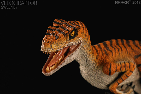 The 1:18 scale Rebor Velociraptor figure "Sweeney".