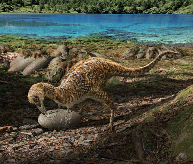 Qiupanykus zhangi Depicted Breaking into the Eggs of an oviraptorid.