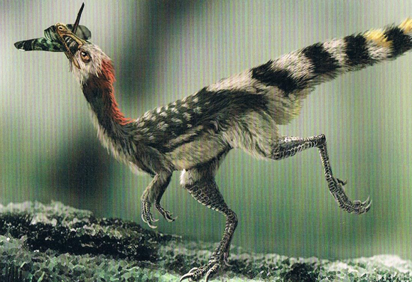 Compsognathus illustration by Chuang Zhao.
