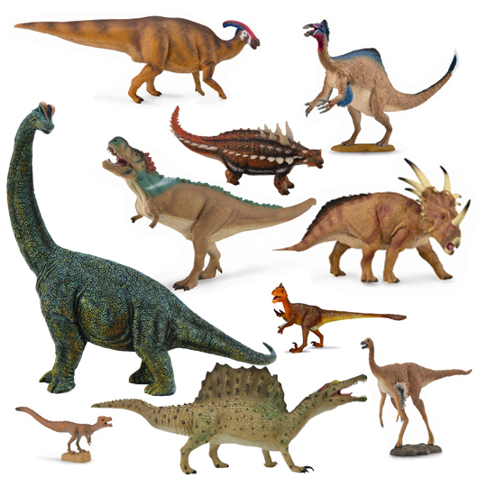 The great variety of dinosaurs.