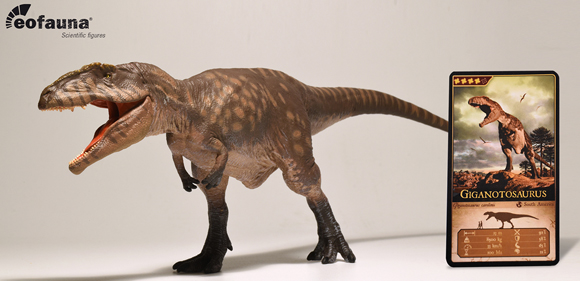 Eofauna Scientific Research Giganotosaurus carolinii.