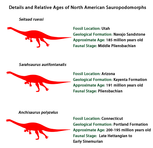 Comparing three North American members of the Sauropodomorpha.
