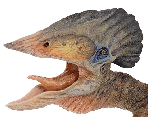 Papo Tupuxuara pterosaur model.