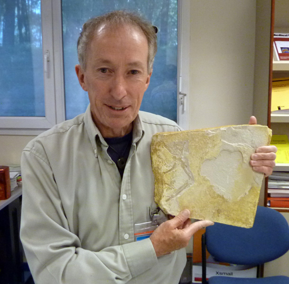 Dr John Nudds holding an Archaeopteryx fossil specimen.