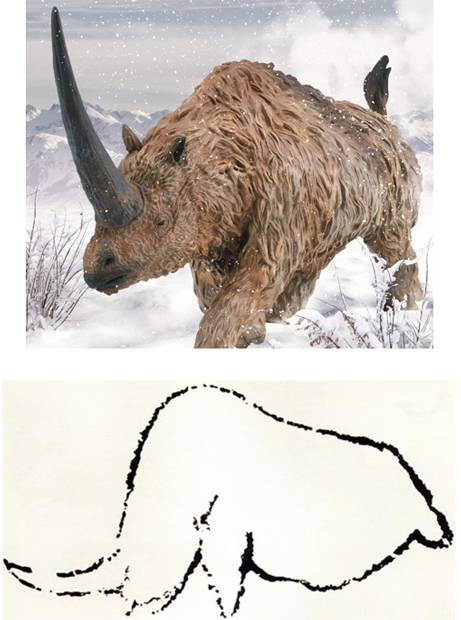 Cave art compared to a prehistoric animal model (Elasmotherium).
