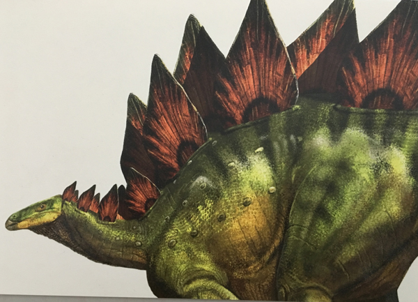 A life reconstruction of the armoured dinosaur Stegosaurus.