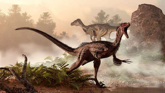 Dinosaurs probably had a super-efficient respiratory system.