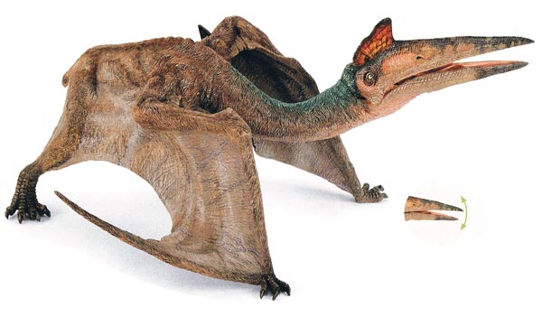 Papo Quetzalcoatlus model.