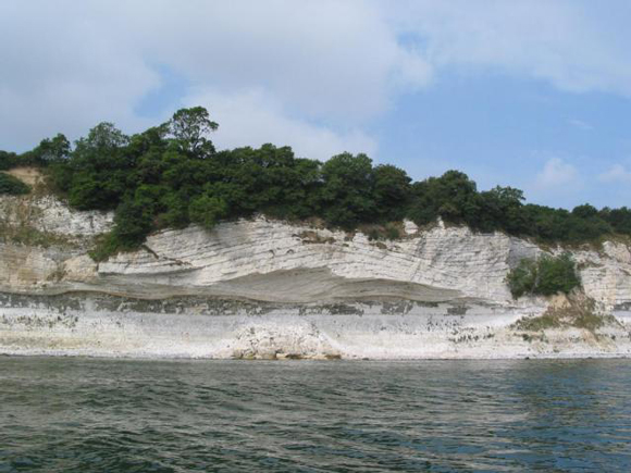 White cliffs formed from the remains of coccolithophoroids.