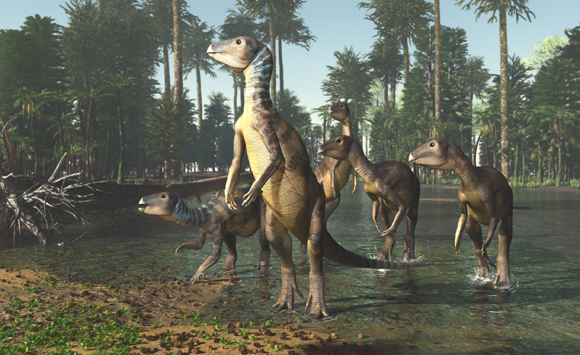 Weewarrasaurus life reconstruction.