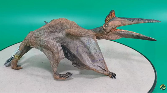 Reviewing the Papo Quetzalcoatlus pterosaur model.