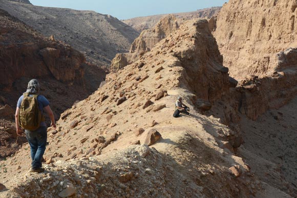 Exploring the Dead Sea coast of Jordan for Permian plant fossils.