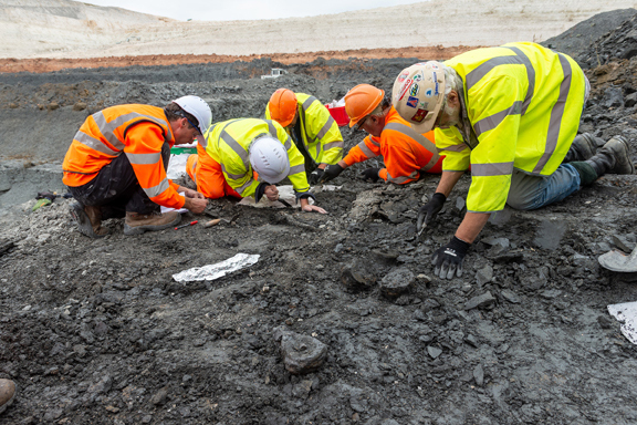 Extracting the fossilised remains of a pliosaur.