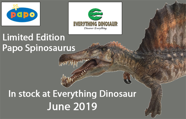 Everything Dinosaur will be stocking the new for 2019 Papo Spinosaurus.