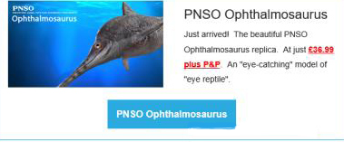 PNSO Ophthalmosaurus "Brook".
