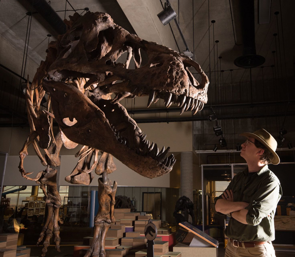 Palaeontologist Scott Persons with the cast of the T. rex "Scotty".