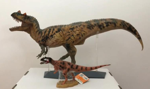 Comparing Ceratosaurus figures.