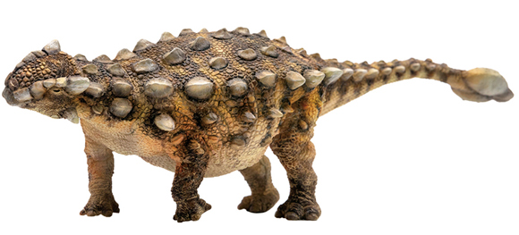 PNSO Ankylosaurus "Sede".