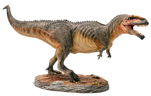 "Lucas" the PNSO Giganotosaurus model.