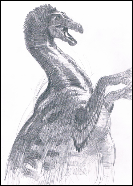 Therzinosaurus A drawing of the Theropod dinosaur Therizinosaurus (T. cheloniformis drawing.