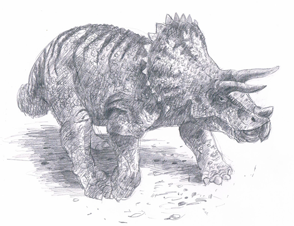 A pencil illustration of Triceratops.