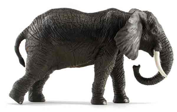 An African elephant model.