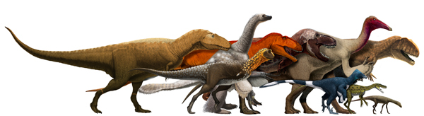 Diverse Theropoda.