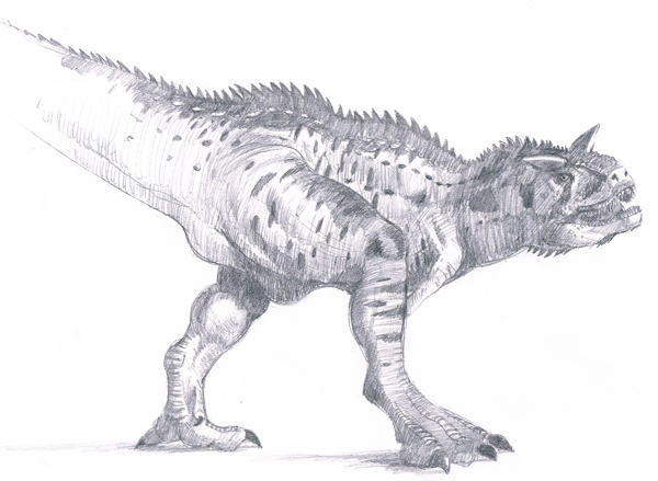 An illustration of Carnotaurus sastrei.
