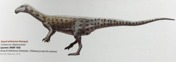 Chilesaurus ilustrated.