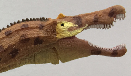 The CollectA Deluxe 1:40 scale Baryonyx dinosaur model.