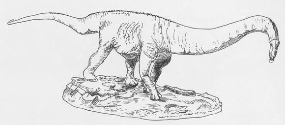 An illustration of the long-necked dinosaur (sauropod) Mamenchisaurus
