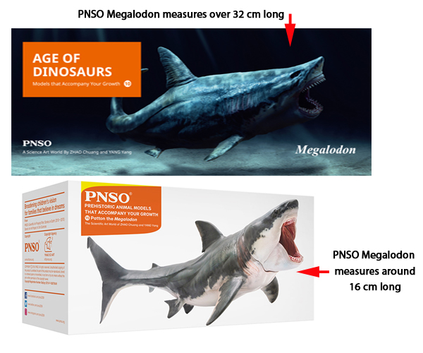 PNSO Megalodon shark models.