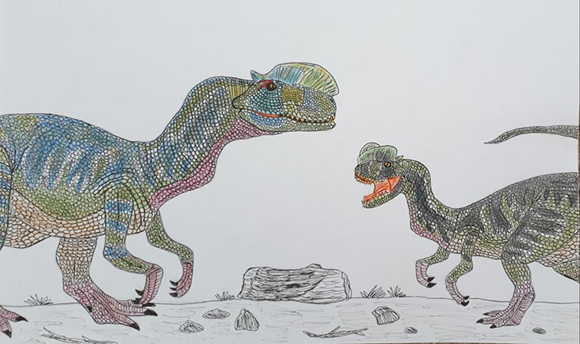 Rebor Dilophosaurus models illustrated.