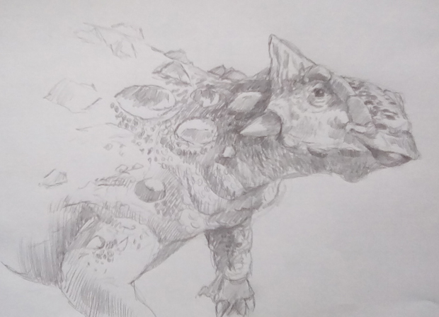 A drawing of "Sede" the Ankylosaurus dinosaur model (PNSO).