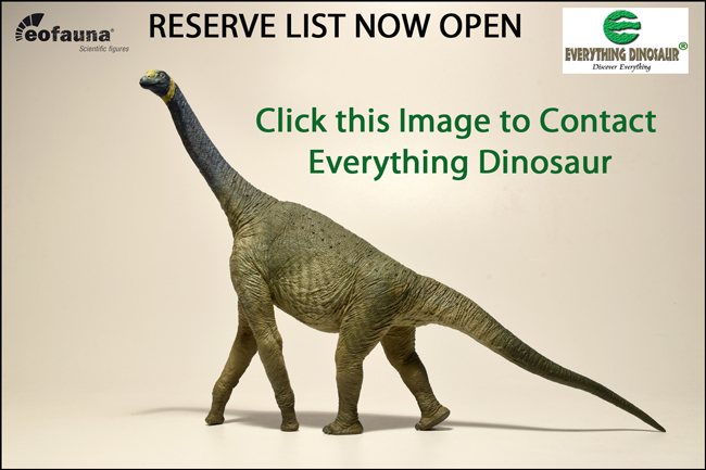 Email Everything Dinosaur to join our priority reserve list for Atlasaurus.