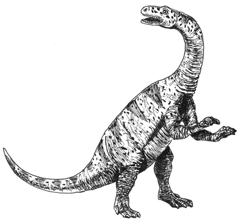 Drawing of Ngwevu intloko (based on Lufengosaurus).