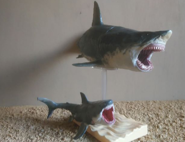 Thank you Luke for sending in pics of his two PNSO Megalodon shark models.