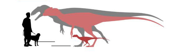 Purbeck Group theropods.