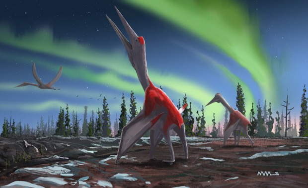 The Canadian azhdarchid pterosaur C. boreas.