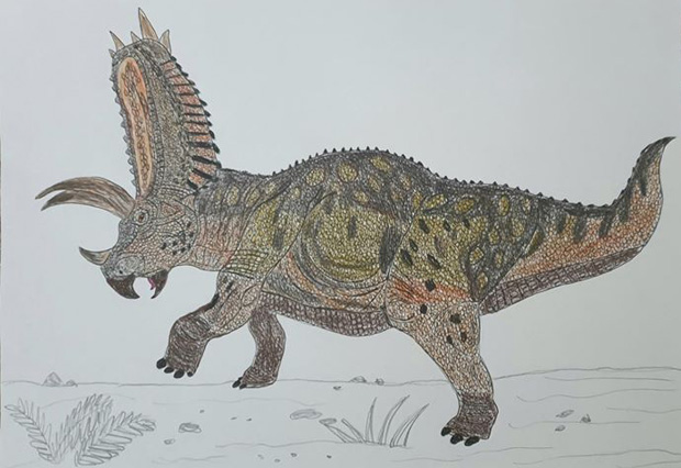 A drawing of the new for 2019 Papo Pentaceratops by Caldey.