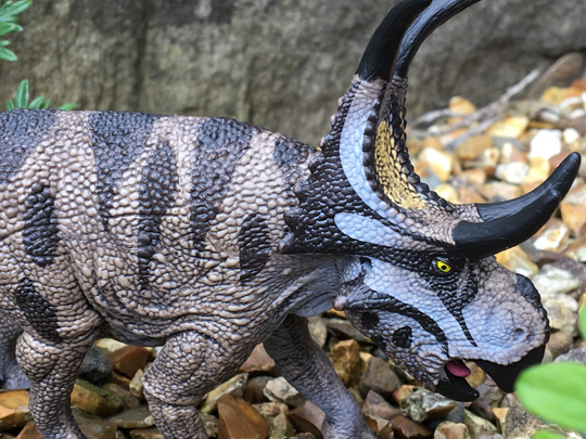 Schleich Diabloceratops dinosaur model.